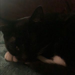 Meet your Posher, Erica